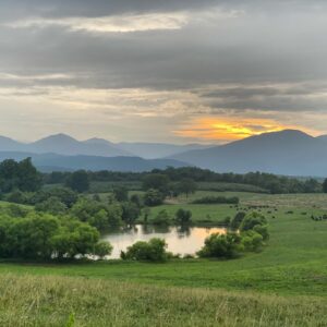 Photo Ranch landscape